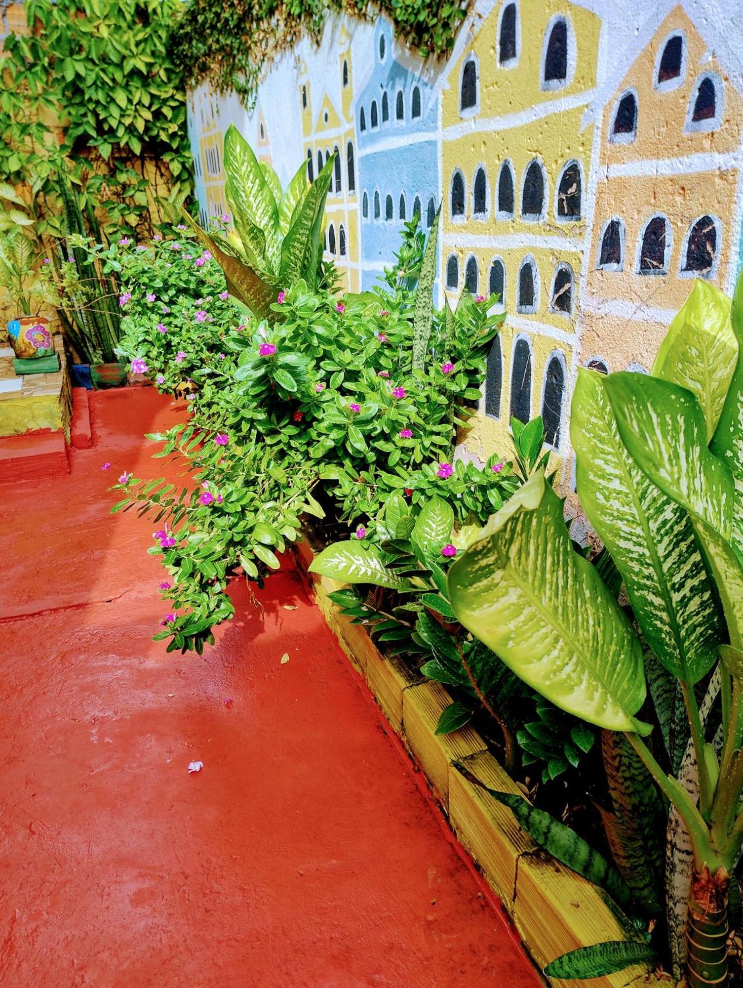 Perto Do Aeroporto De Salvador - Dona Pitanga Hostel Lauro de Freitas Exteriör bild