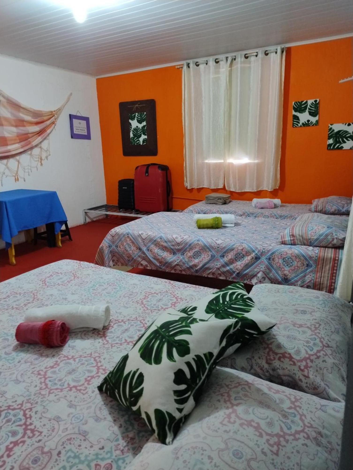 Perto Do Aeroporto De Salvador - Dona Pitanga Hostel Lauro de Freitas Exteriör bild
