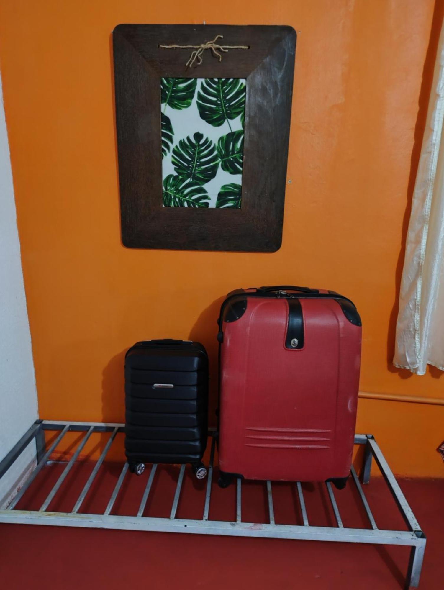 Perto Do Aeroporto De Salvador - Dona Pitanga Hostel Lauro de Freitas Exteriör bild